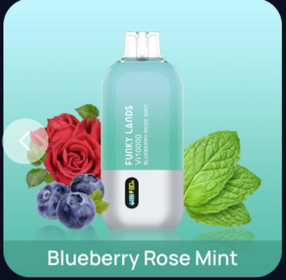 Одноразовая электронная сигарета (одноразка) Funky Lands Vi10000 до 10000 тяг Blueberry Rose Mint - Черника роза мята