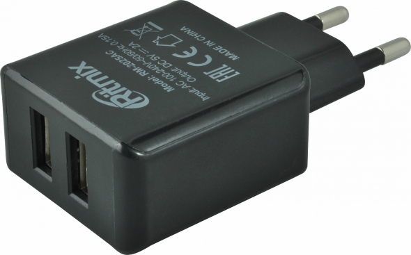 зарядное устройство Ritmix RM-2025 AC черный